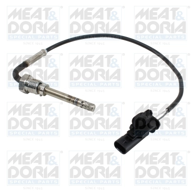 Sensor, exhaust gas temperature